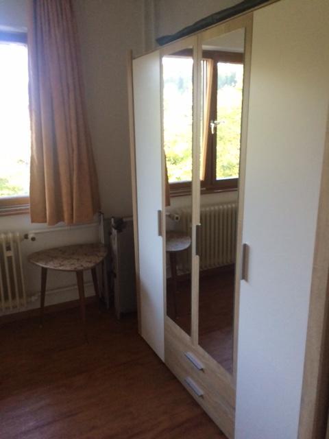Apartamento Schlesierhaus Dachsberg im Schwarzwald Exterior foto